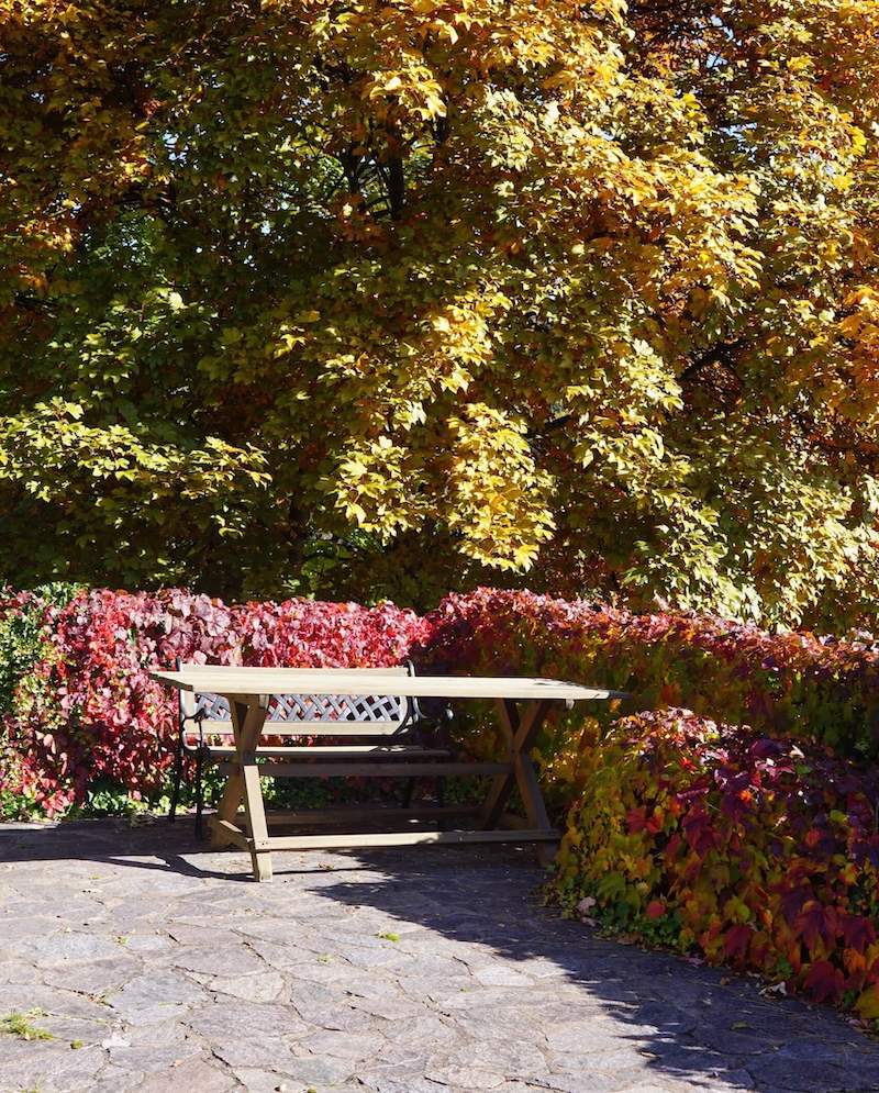 Bench with table in the garden of the house