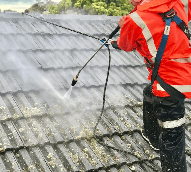 roof treatments service image