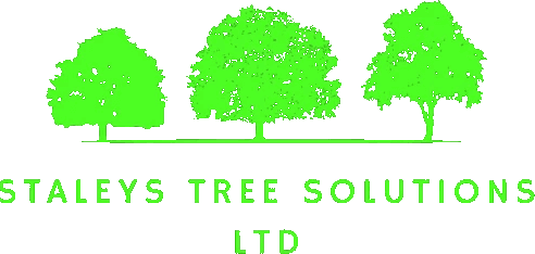 Company logo that hired professional