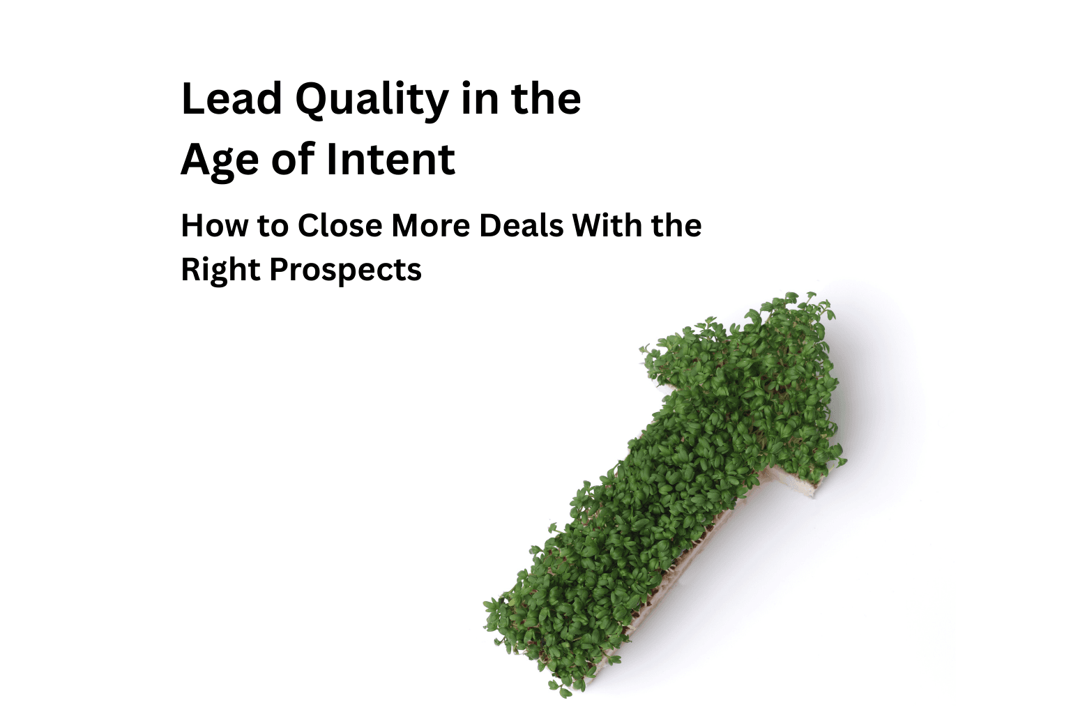 Lead Quality in the Age of Intent: How to Close More Deals With the Right Prospects