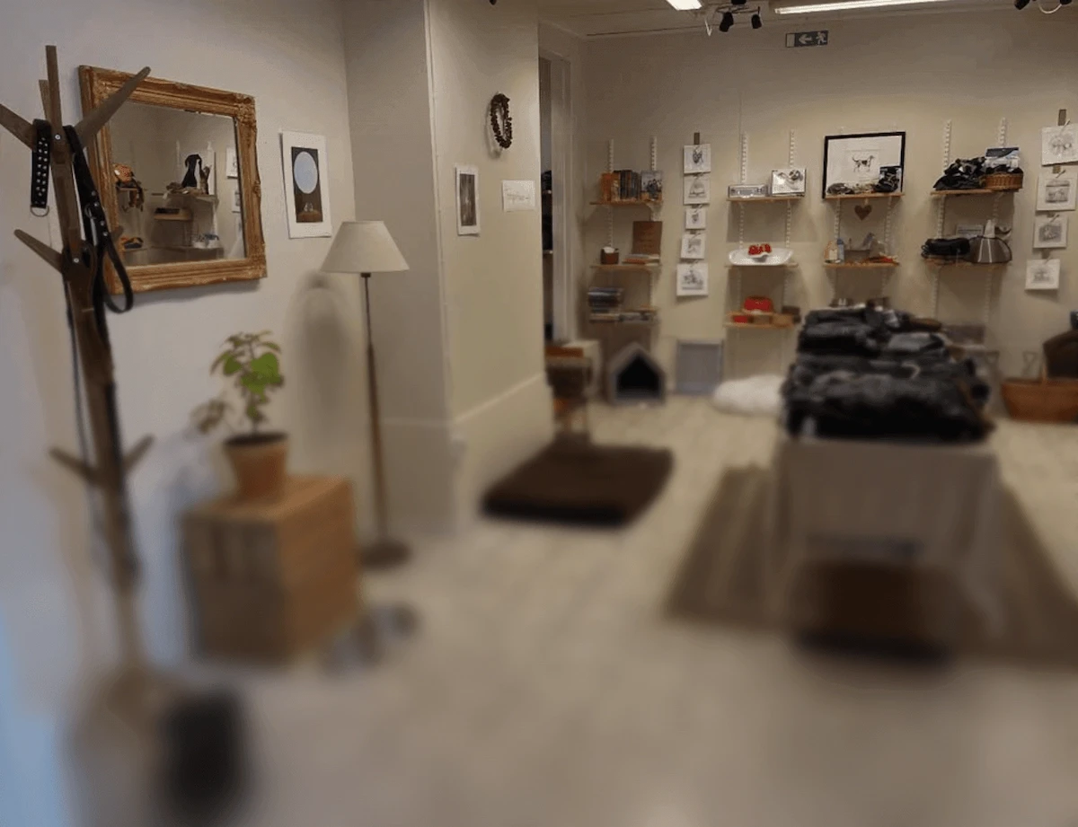 Interiör från secondhandbutiken för husdjur Tassa och Trava – Bättre begagnat.