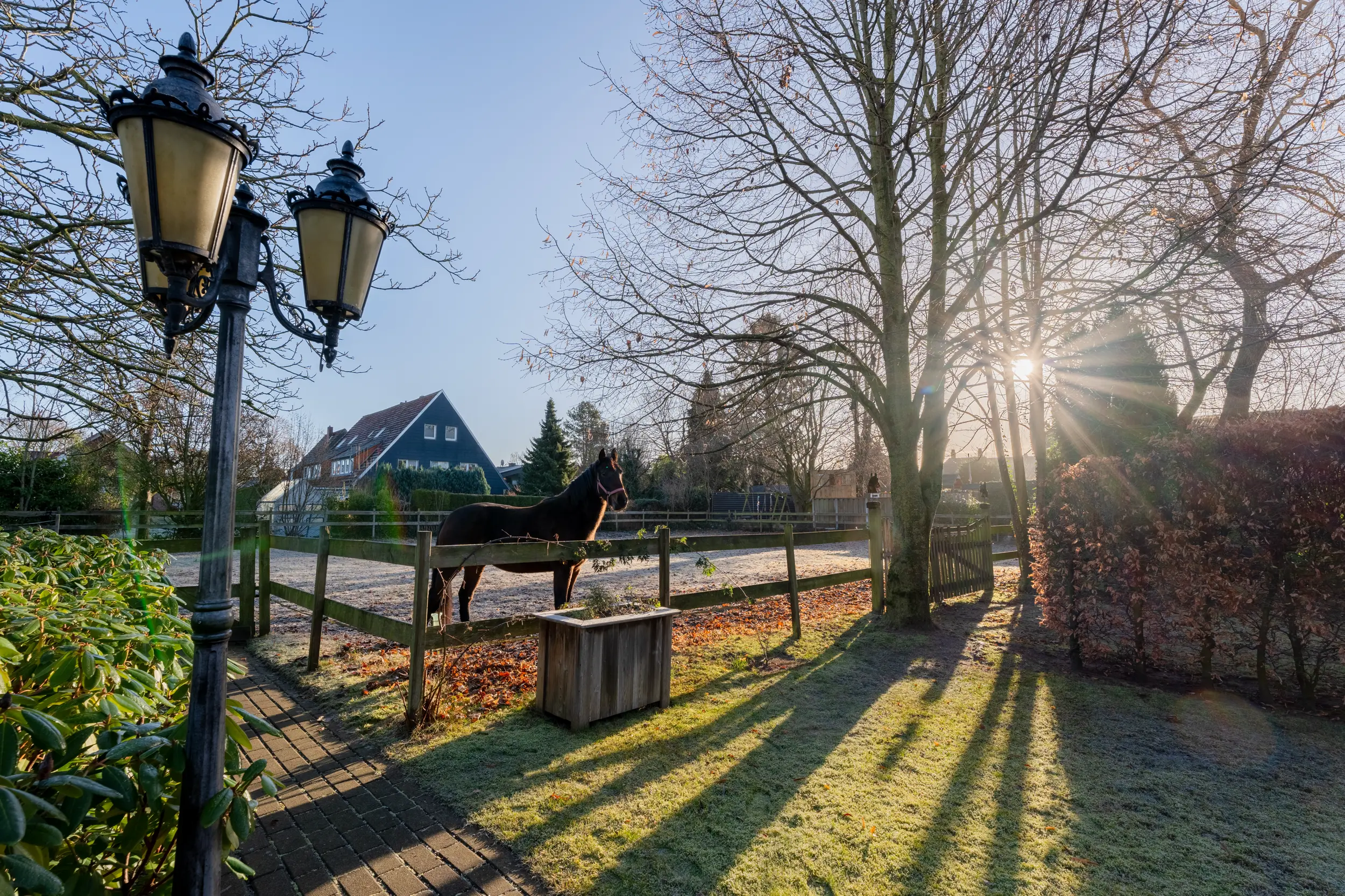 Blick vom Garten auf eine eingezäunte Freifläche mit Bäumen und Nachbarbebauung in ruhiger Wohnlage von Gronau