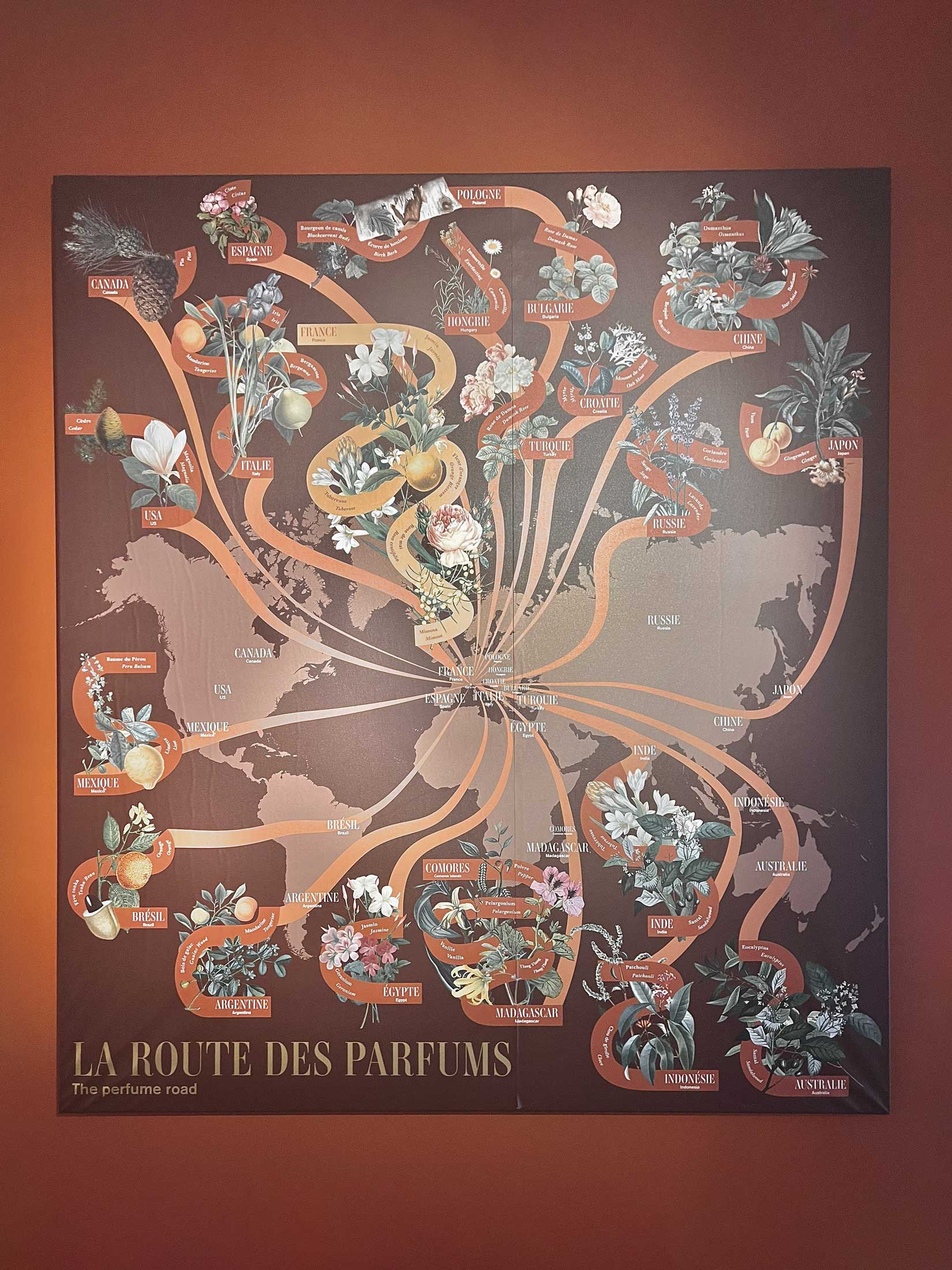 The image featured at the top of the about us page #2