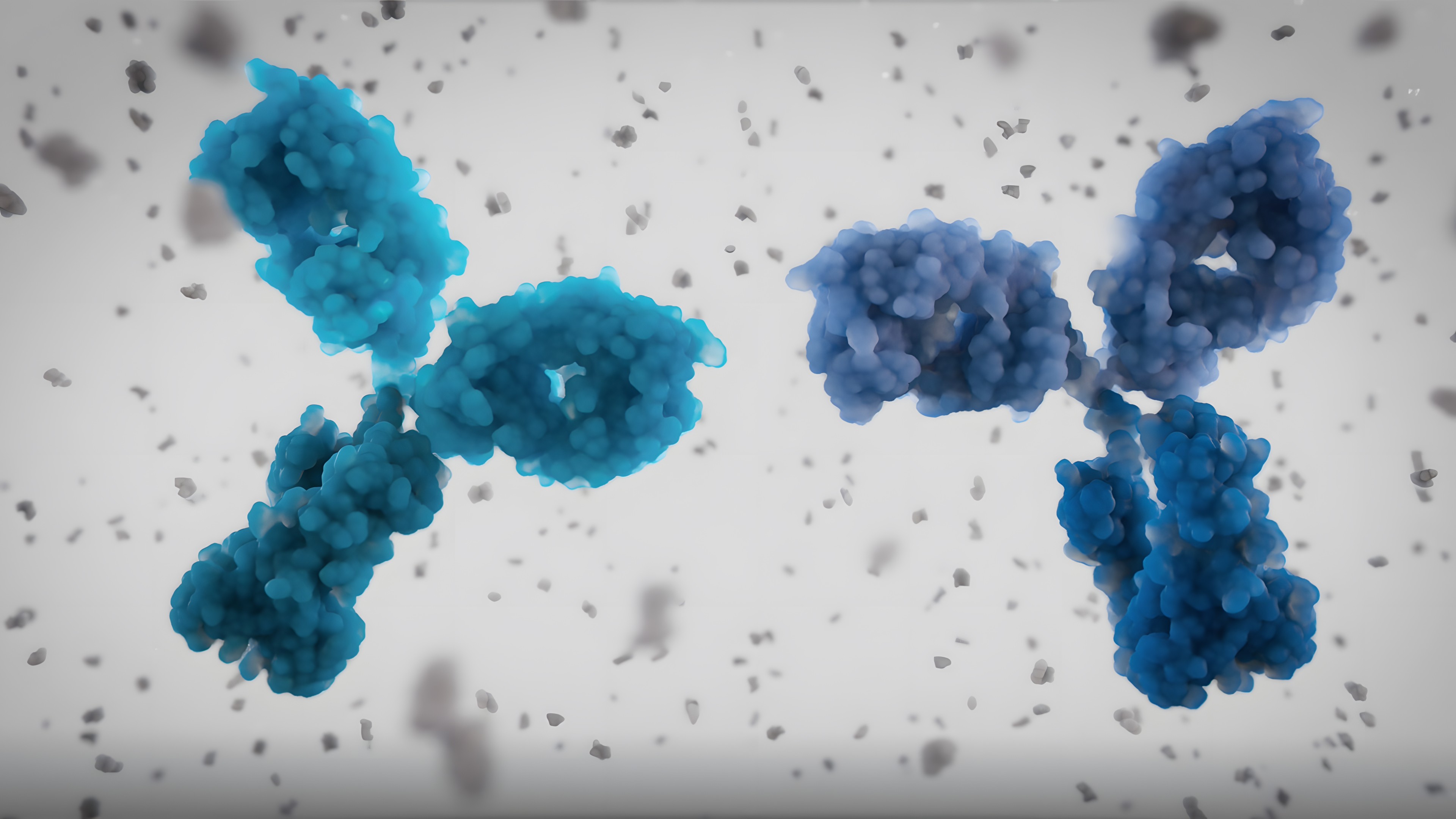 3D visualization of the Antibody molecules: zumilokibart (APG777) and APG990