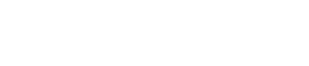 2020INC logo