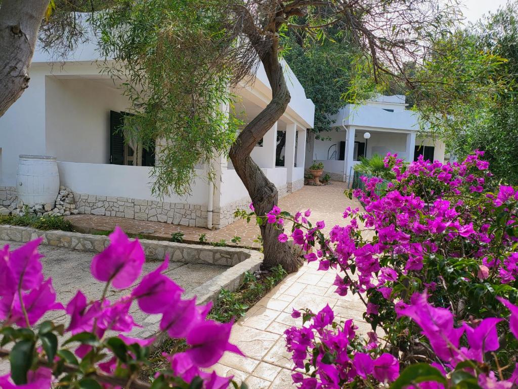 Residence Dolce Far Niente