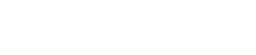 Nietzsche Logo