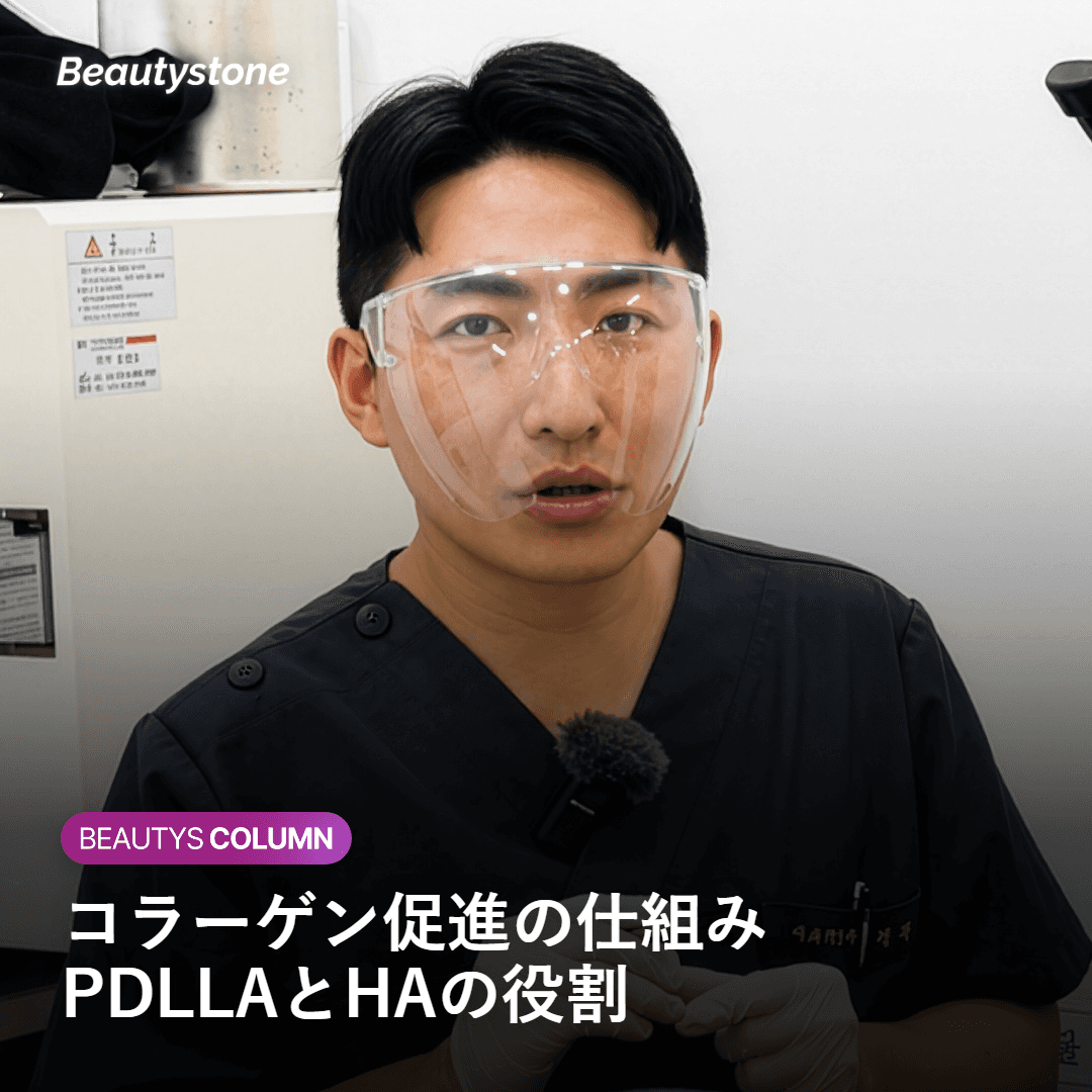 ジュベルックボリュームが真皮〜皮下組織でコラーゲン繊維を形成する仕組みの断面図