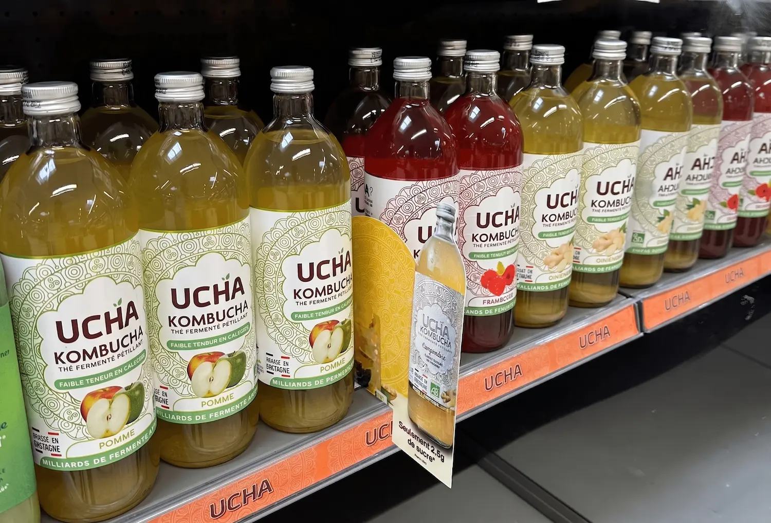 Kombucha in the fridge