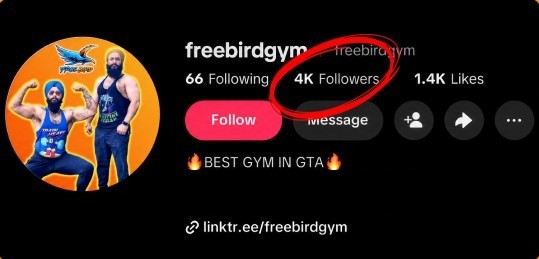 TikTok profile on day 1 with 4K followers