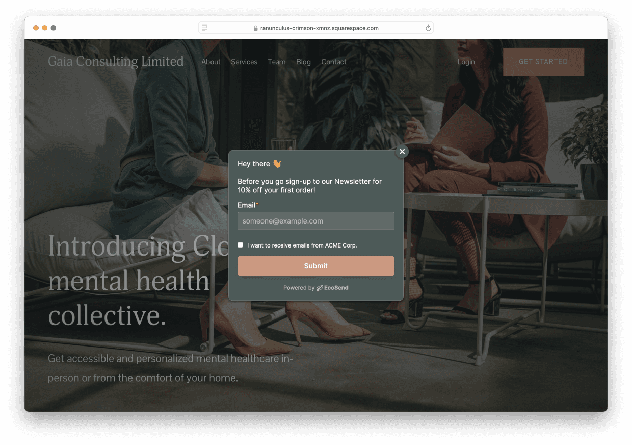 EcoSend Pop-up Form on a Squarespace website