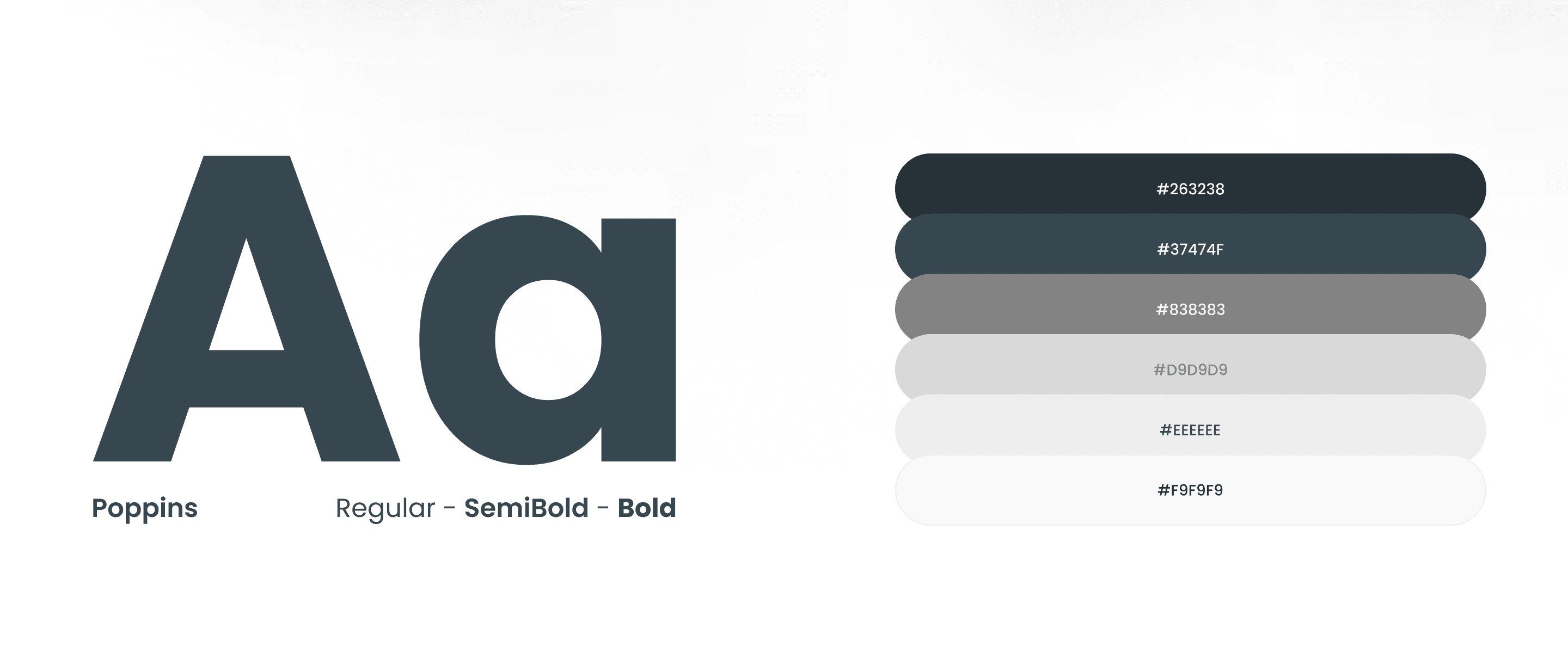 project typography & colors image