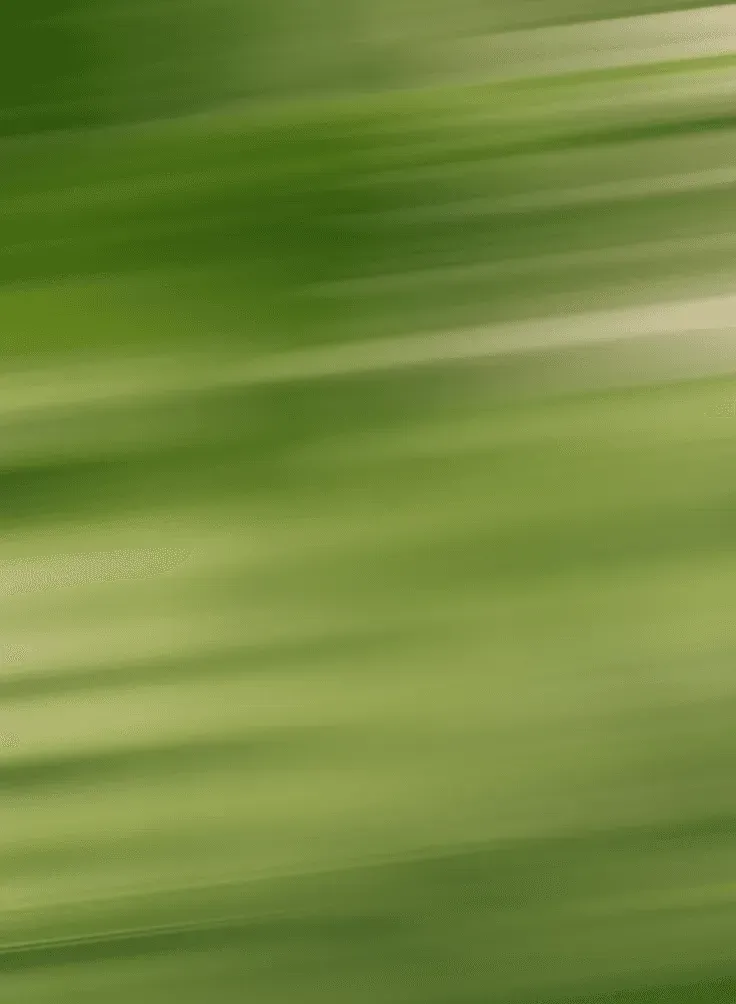 Gradient Yellow, Green and white