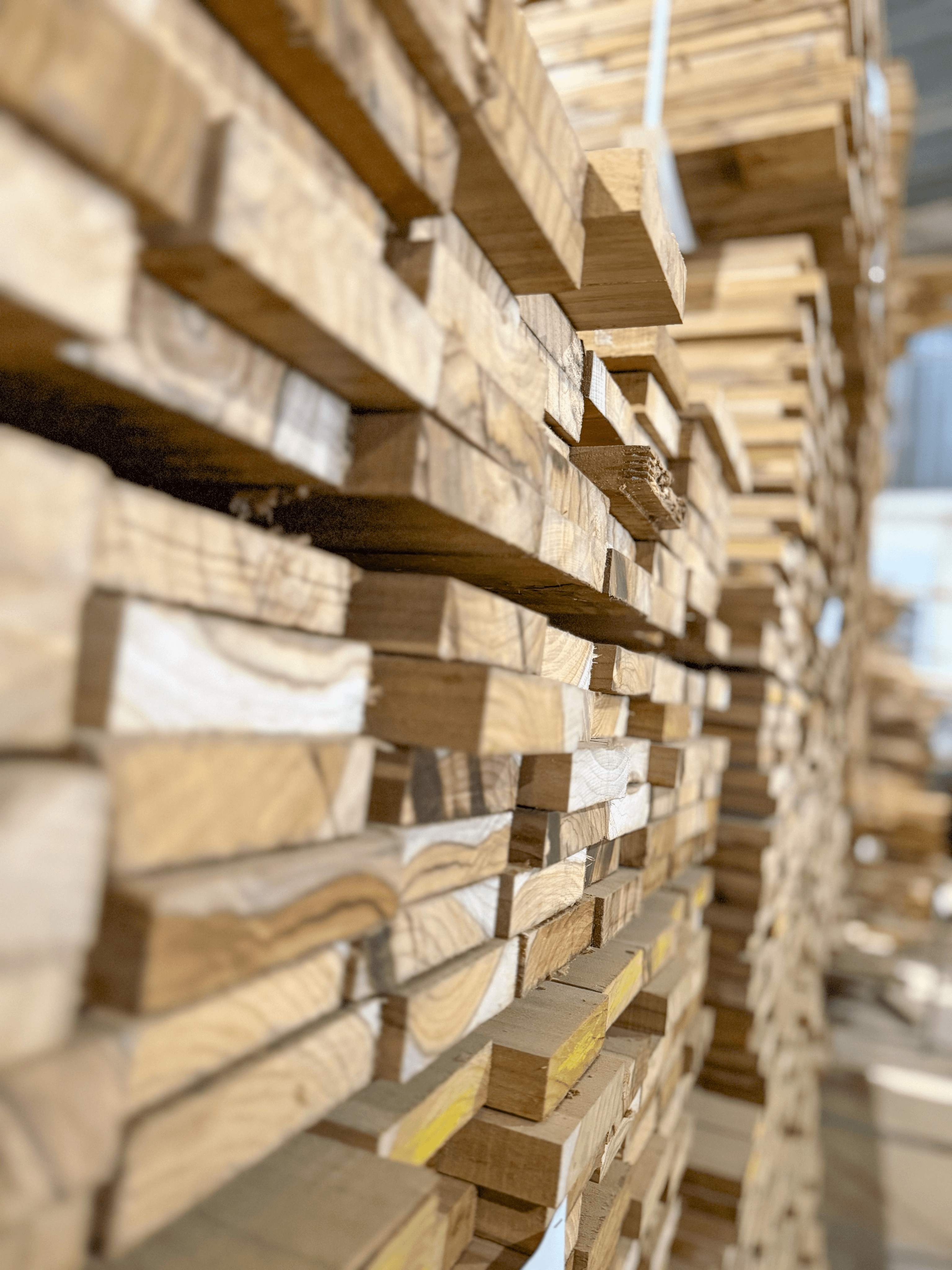Close-up of a dark green leaf showing its textured surface and central vein against a muted background.