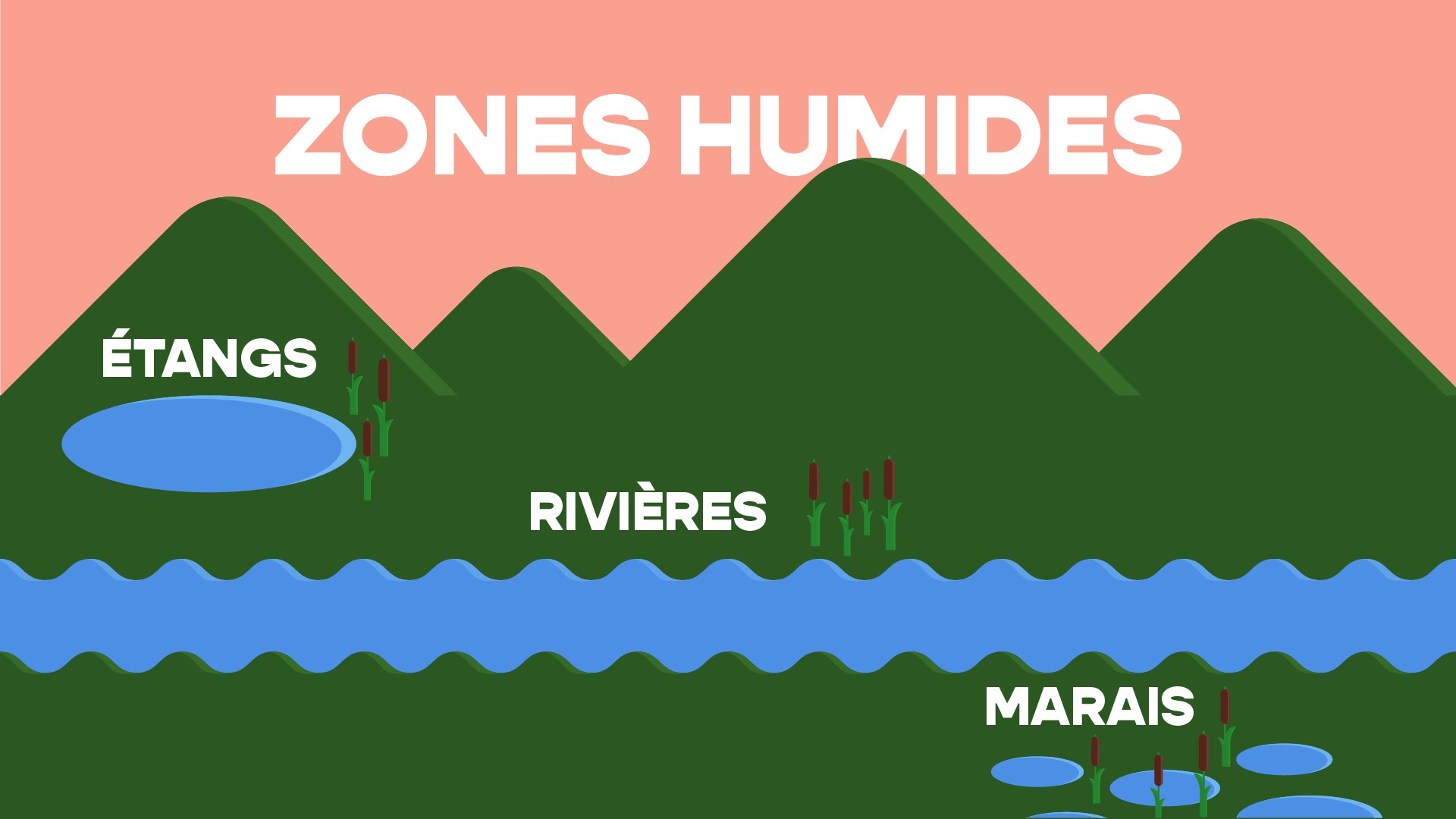 Planche 7 du storyboard