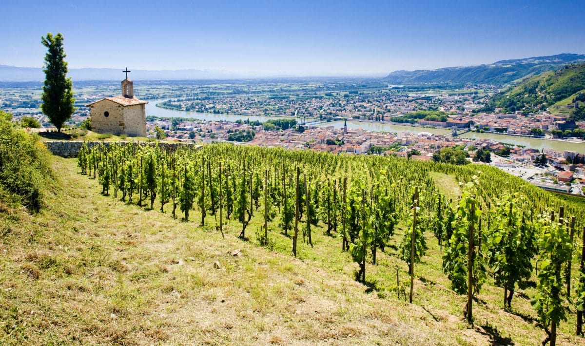 Châteauneuf-du-Pape Hermitage Crozes-Hermitage Côte-Rôtie cotes du rhone紅酒價格 隆河產區 北隆河產區 隆河紅酒 隆河白酒 rhone發音 ctes du rhne cotes du rhone中文 cotes du rhone發音 隆河酒莊 隆河酒王 南隆河 隆 河 白酒 南 隆河 北 隆河 維 克 酒 莊 尾 牙 酒 羅 納 河 法國酒推薦 法國酒介紹 法國酒莊排名 法國酒莊分級 法國紅酒五大產區 法國葡萄酒產區排名 法國 十大 酒 莊 法國 二級 酒 莊