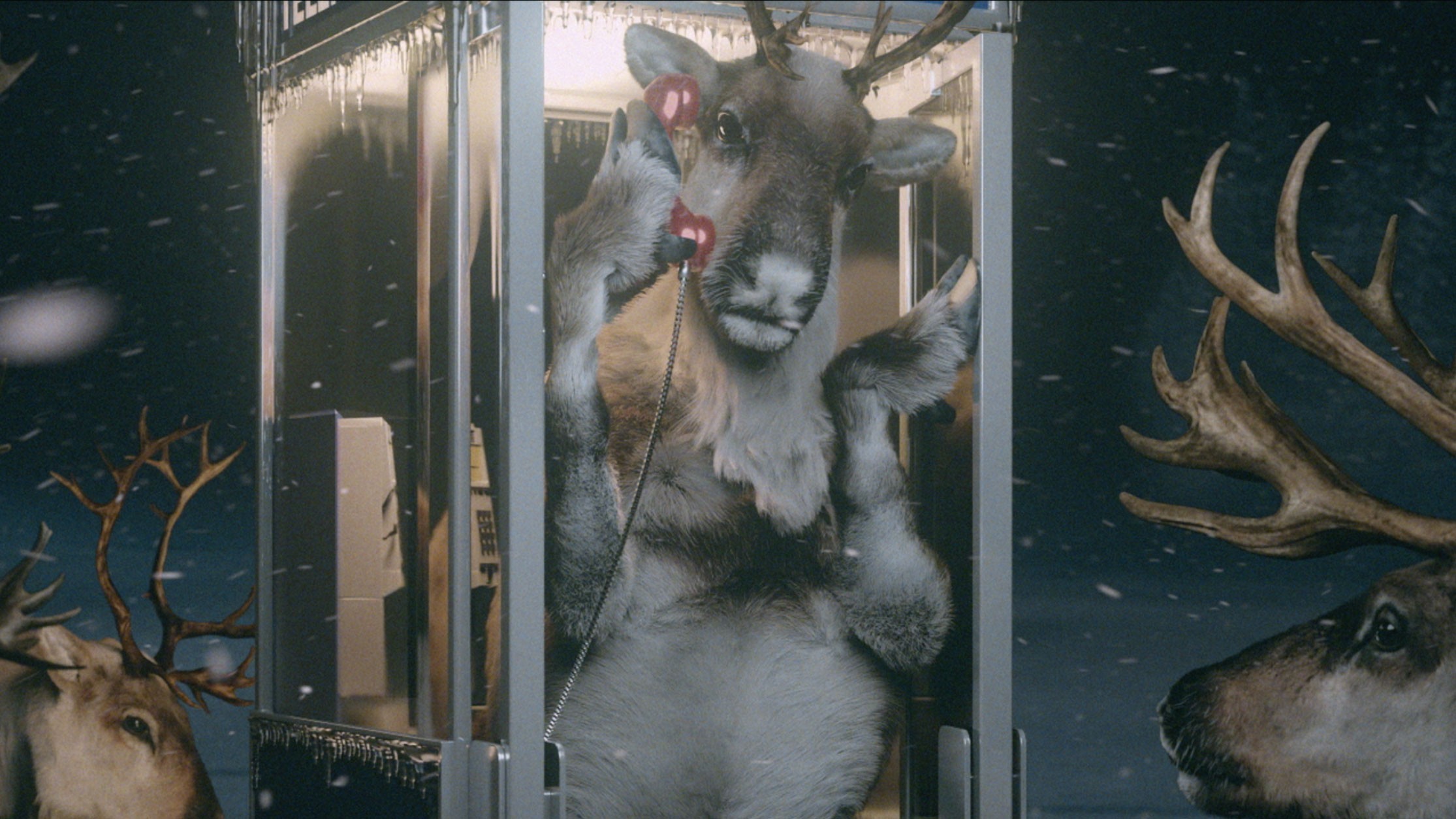 Woman wears a blue coat in a blue environment.