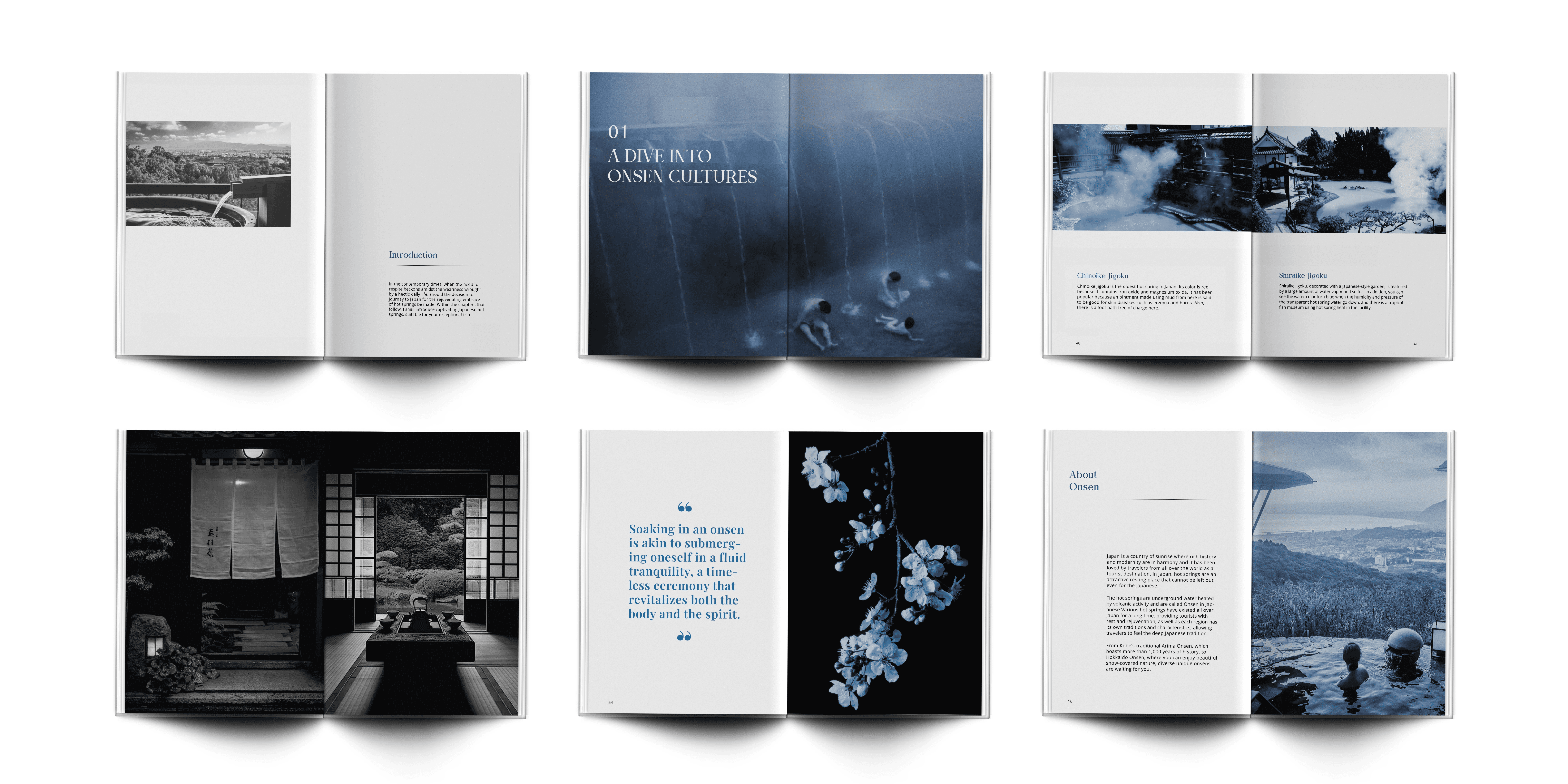 Project Oblique Reception Photograph