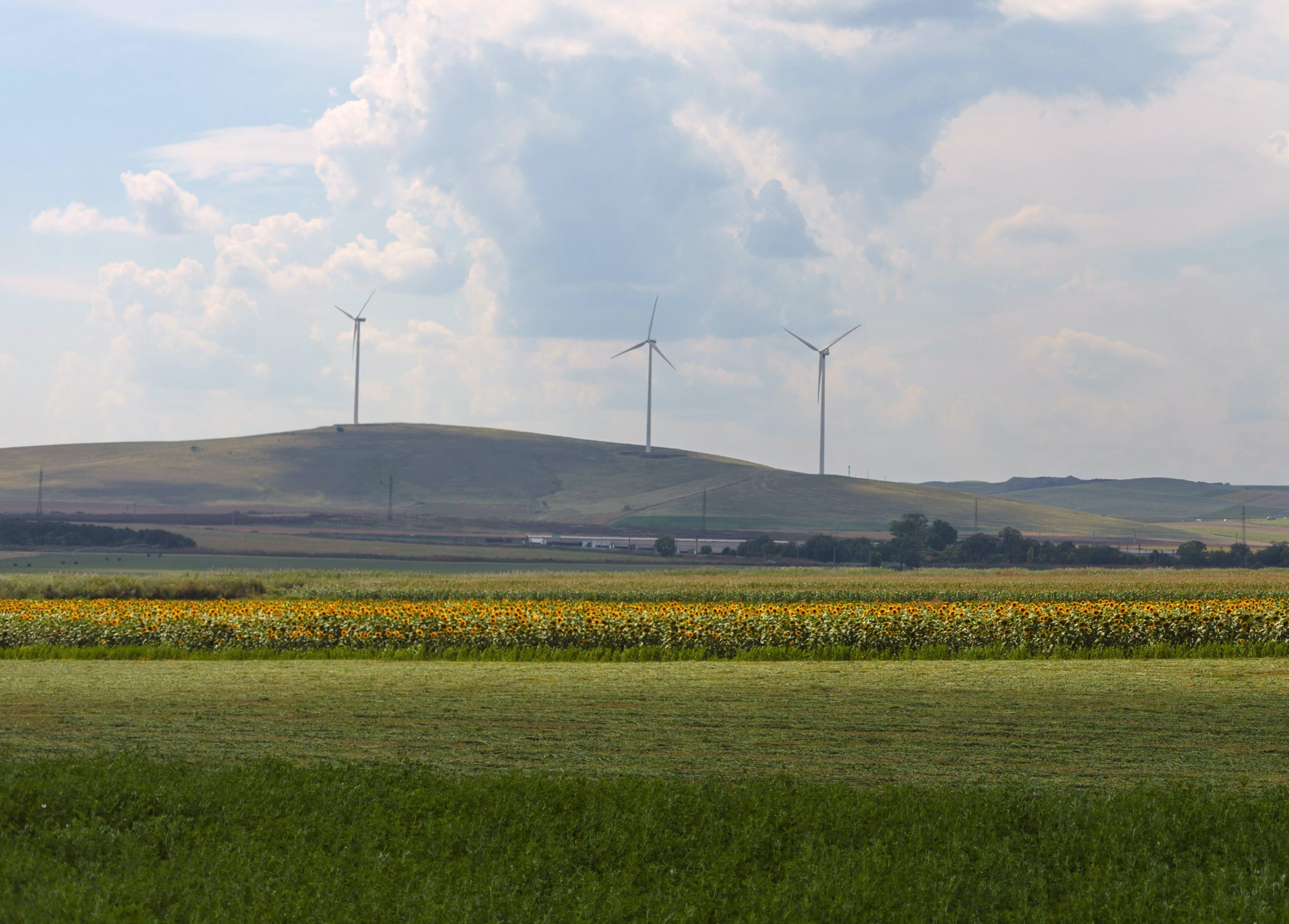 Photo of a field landscape with windmills in the distance
