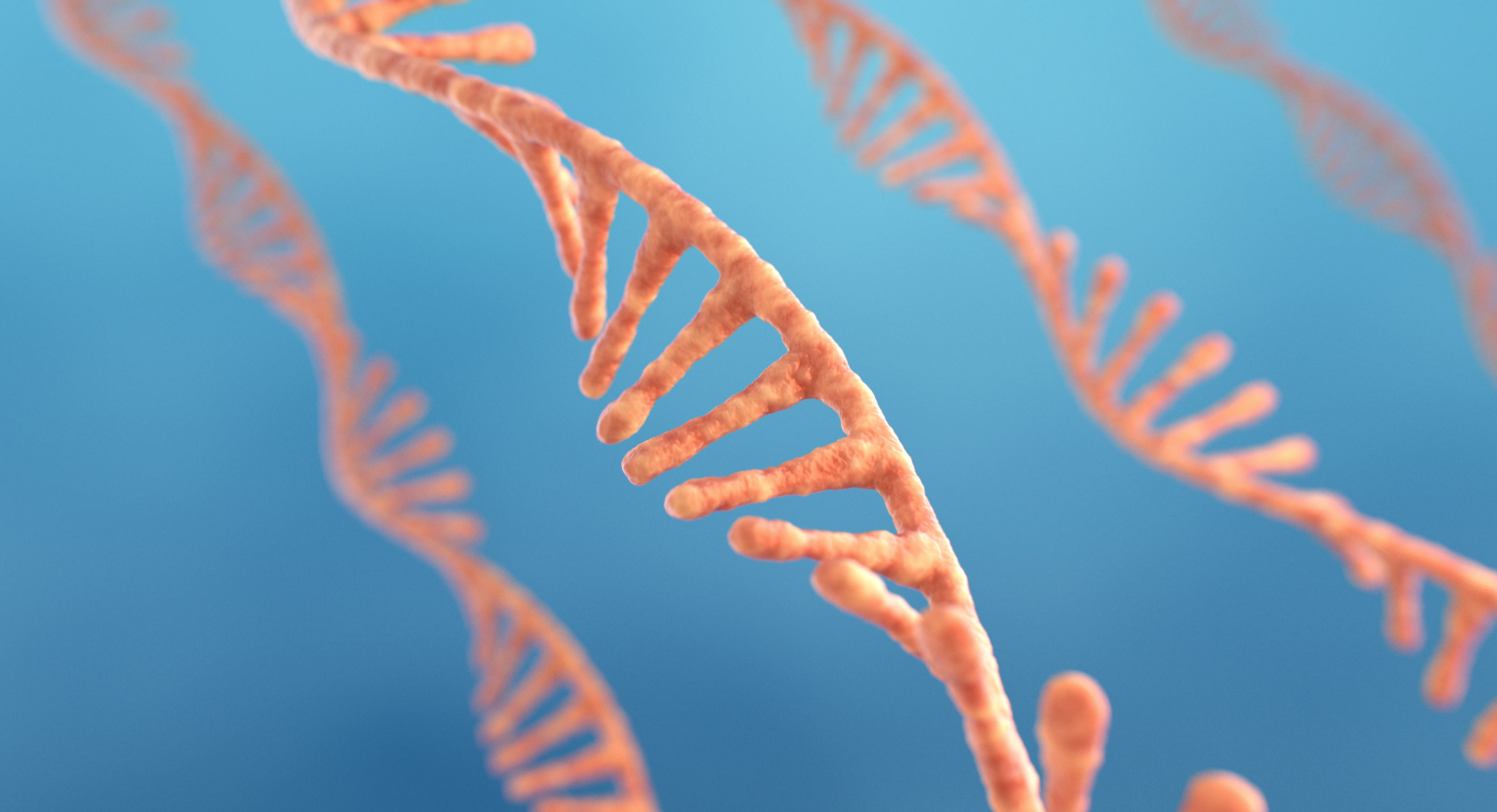 RNA Sequencing (RNA-Seq): A Guide for Studying Gene Expression