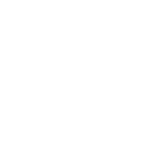 Xing Logo