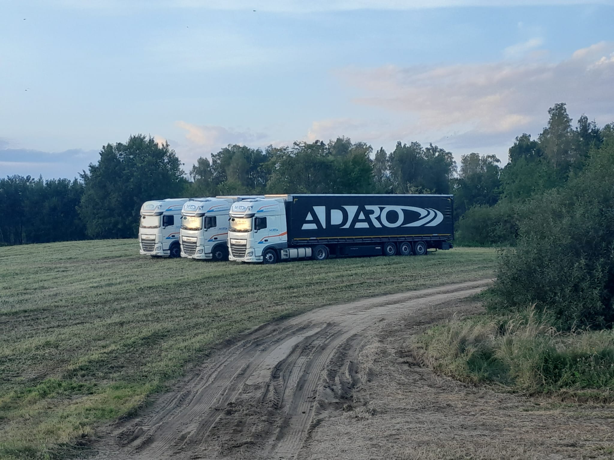 Transport samochodami ciężarowymi