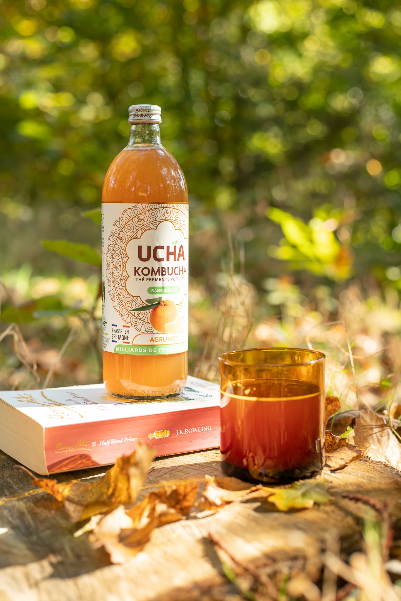 How to make homemade kombucha