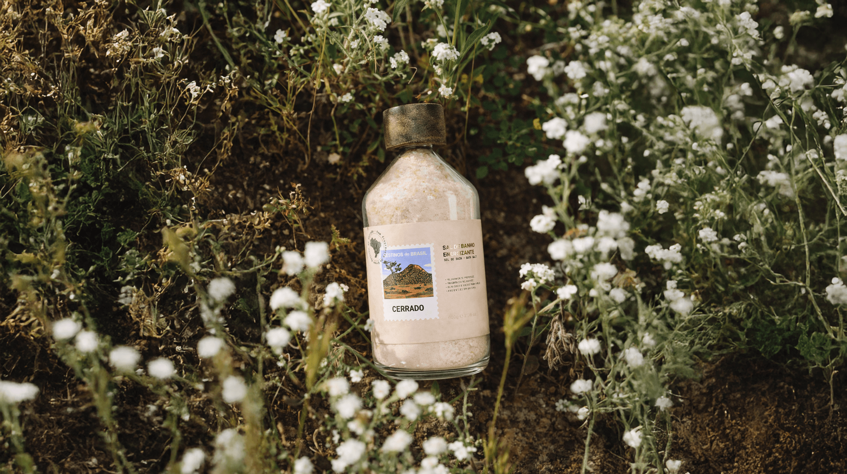 The image featured at the top of the about us page #1