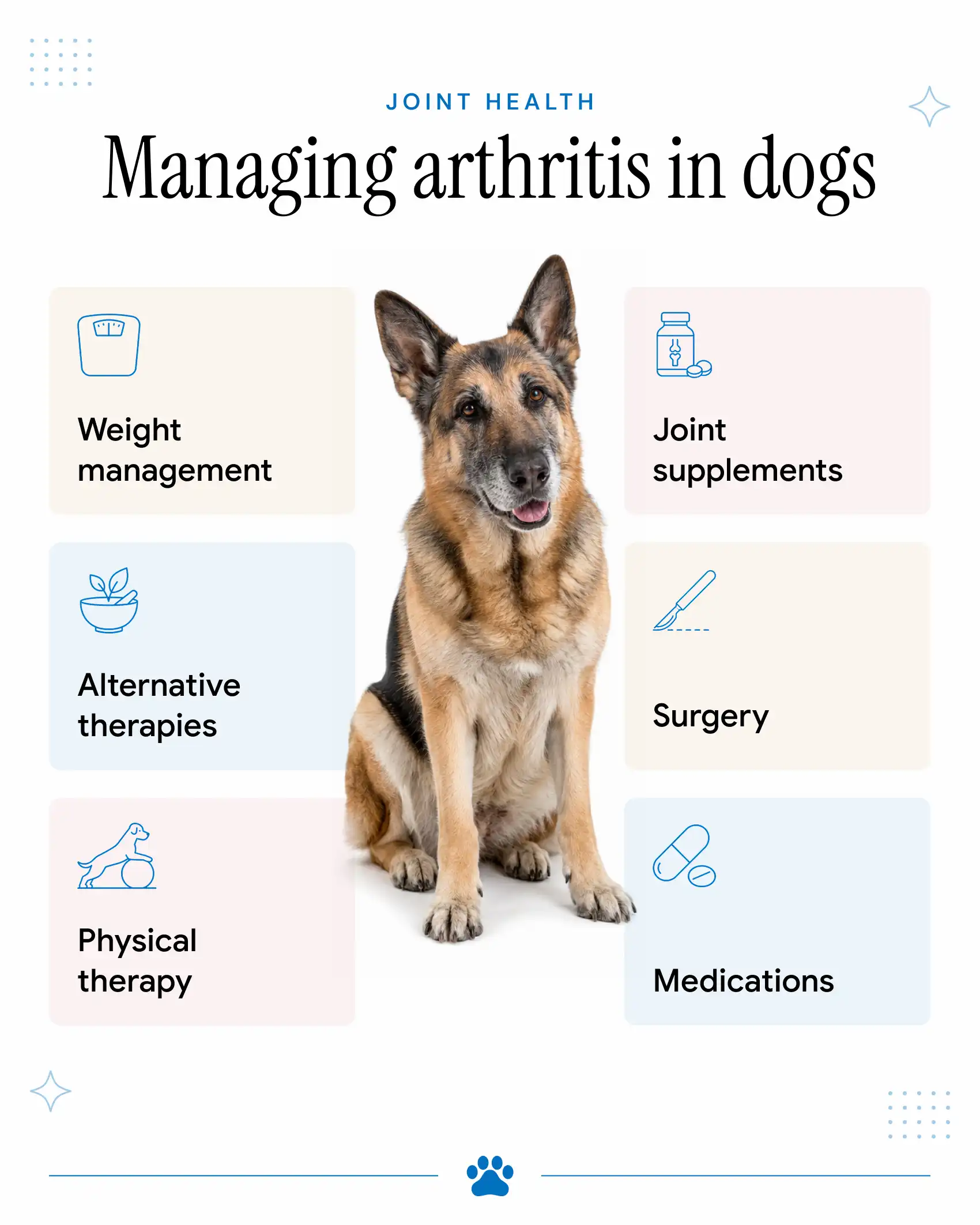 Treatment and Management of Arthritis in Dogs