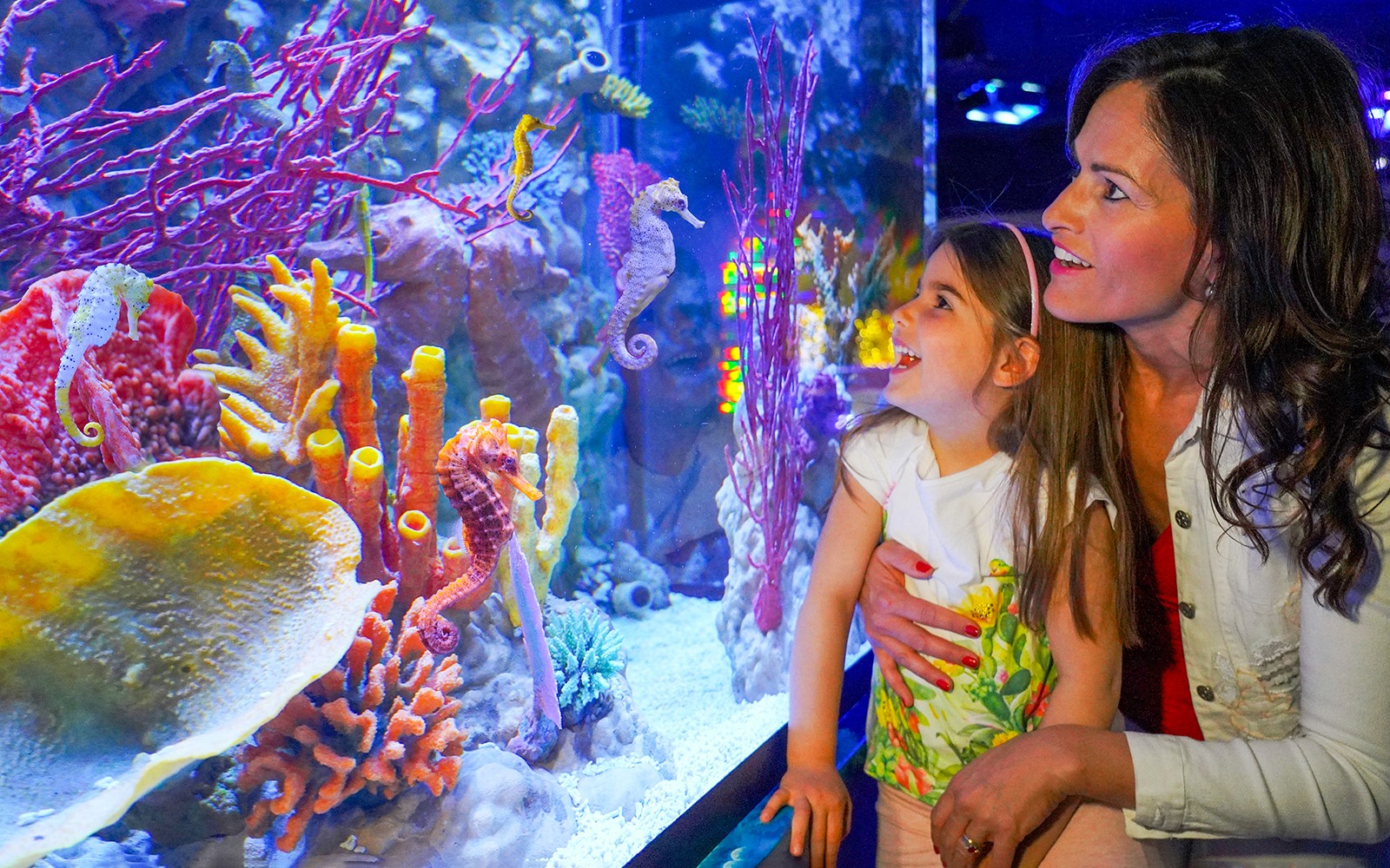 ਮਾਂ ਅਤੇ ਧੀ ਸਾਗਰੀ ਜੀਵ ਅਕਵਾਰਿਯਮ, ਵਰੋਨਾ ਵਿੱਚ ਸੂਰਮੇਘ ਦੀਆਂ ਨਿੱਜੀਆਂ ਨੂੰ ਦੇਖ ਰਹੀਆਂ ਹਨ।