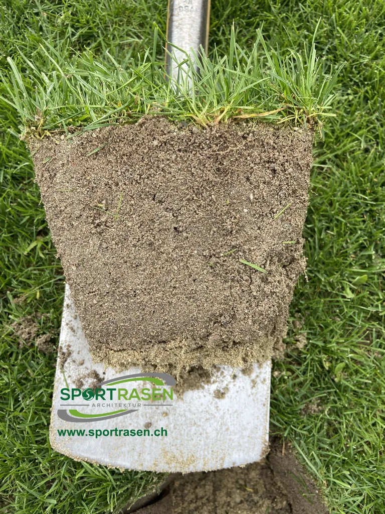 Qualitätssicherung QS für Bauherren