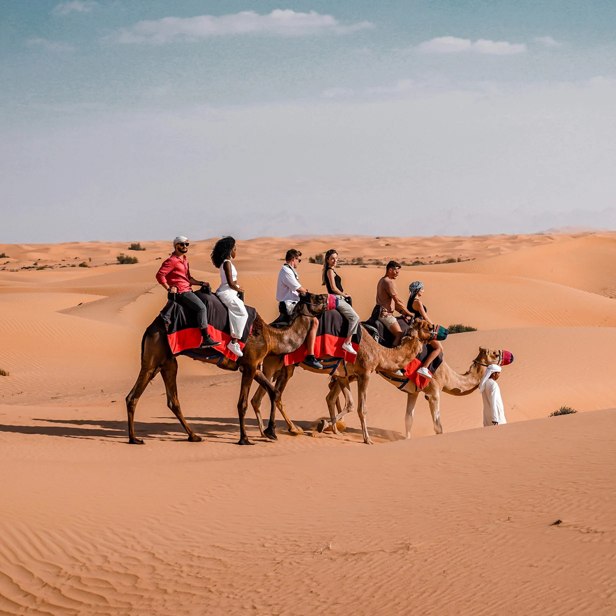 Dubai Desert Safari Quad Tours - Camel Ride