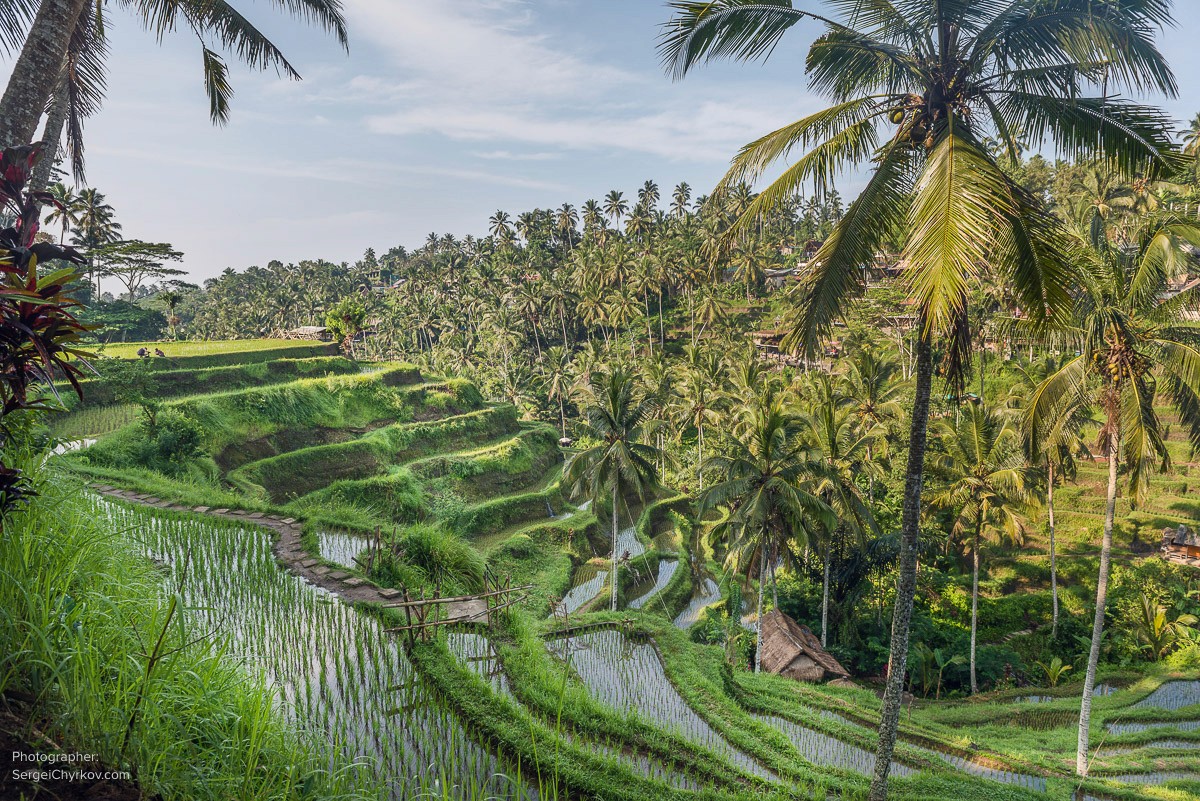 Bali by Sergei Chyrkov. Бали, фотограф Сергей Чирков