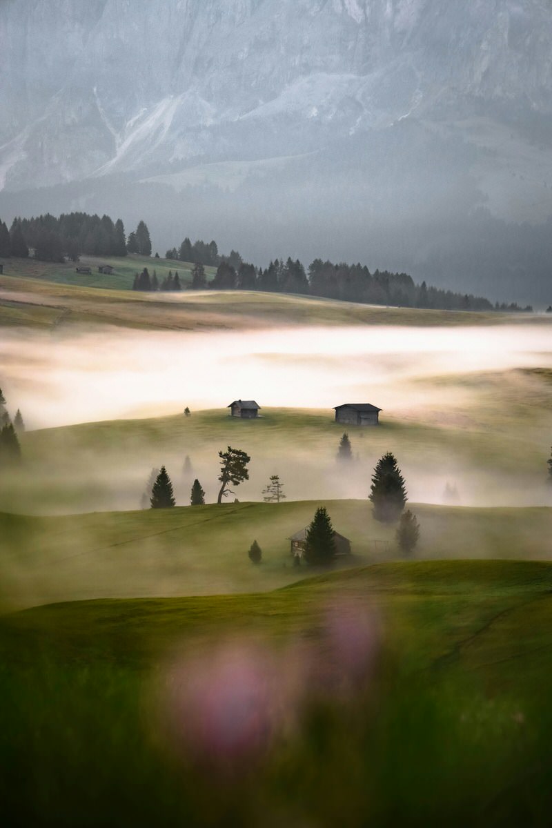 rolling green hills with mist at alpe di siusi