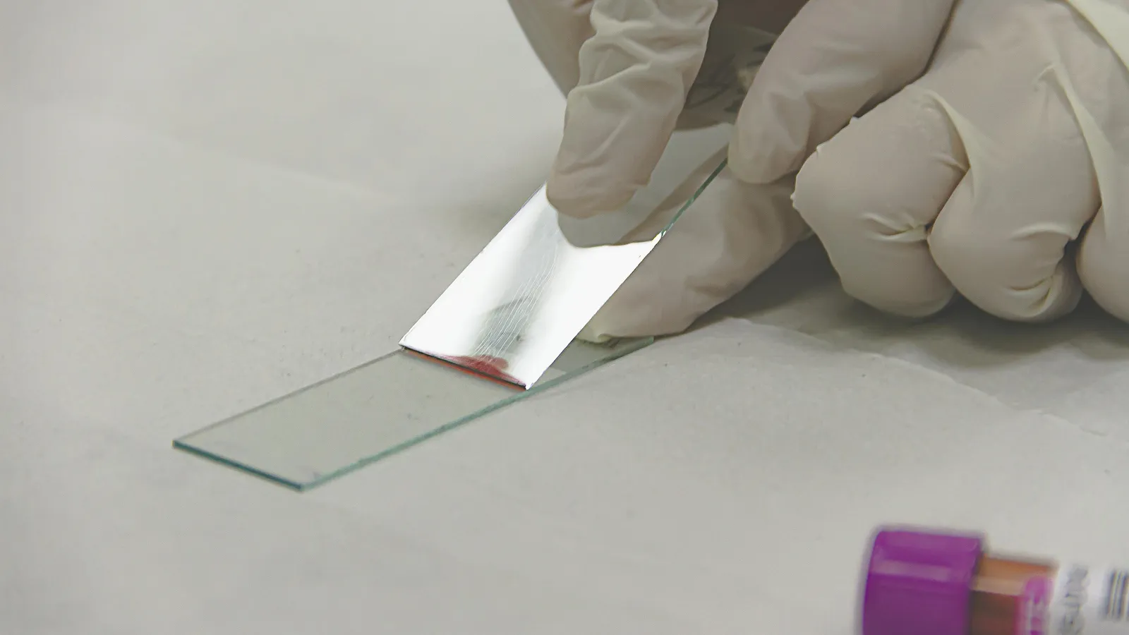 Continuous Glucose Monitors for Non Diabetics Worth the Investment