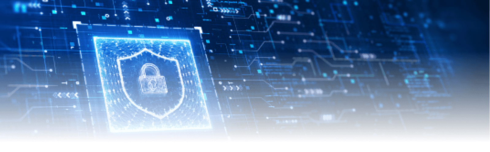 akasa whole company photo