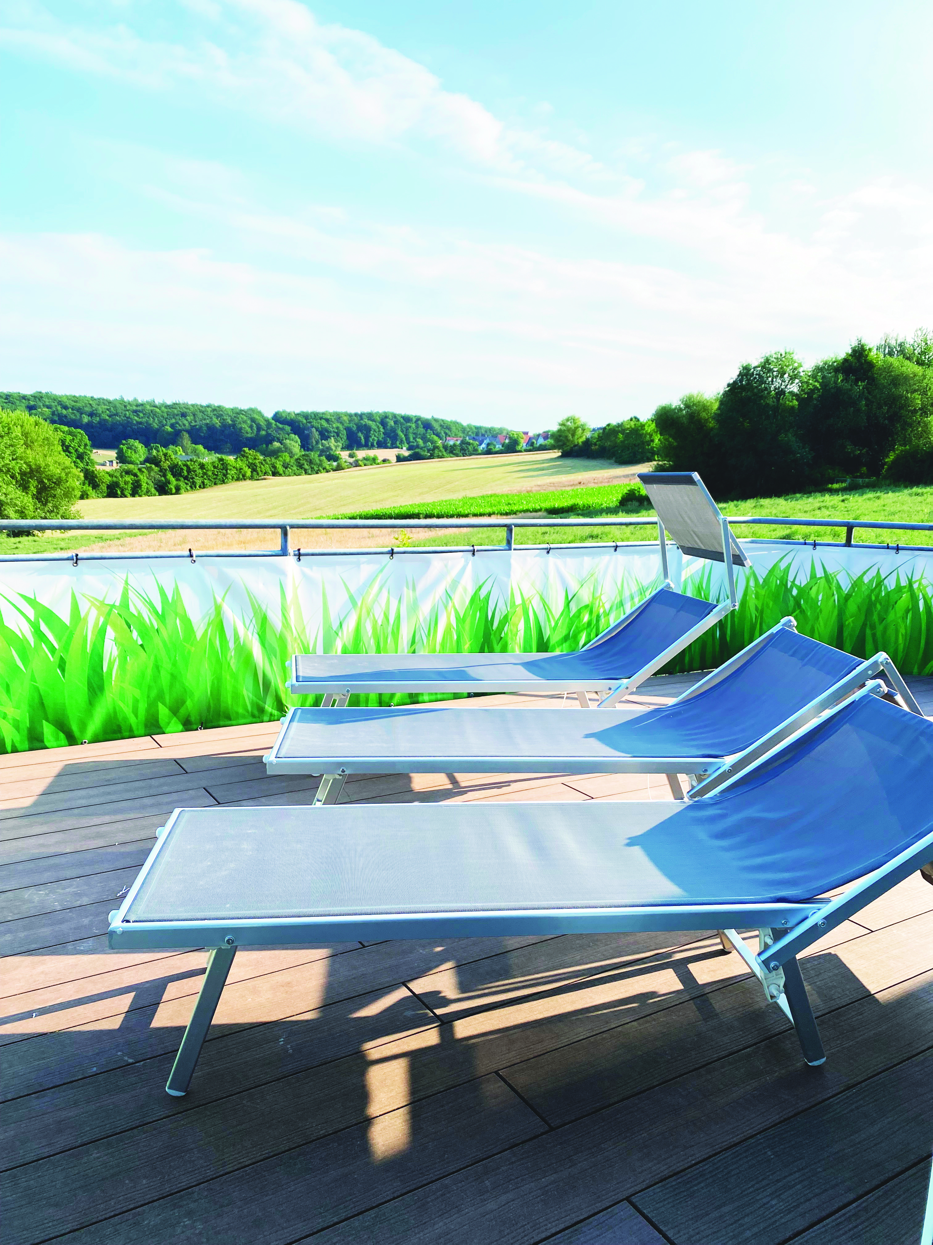 A group of women doing exercises with dumbbells
