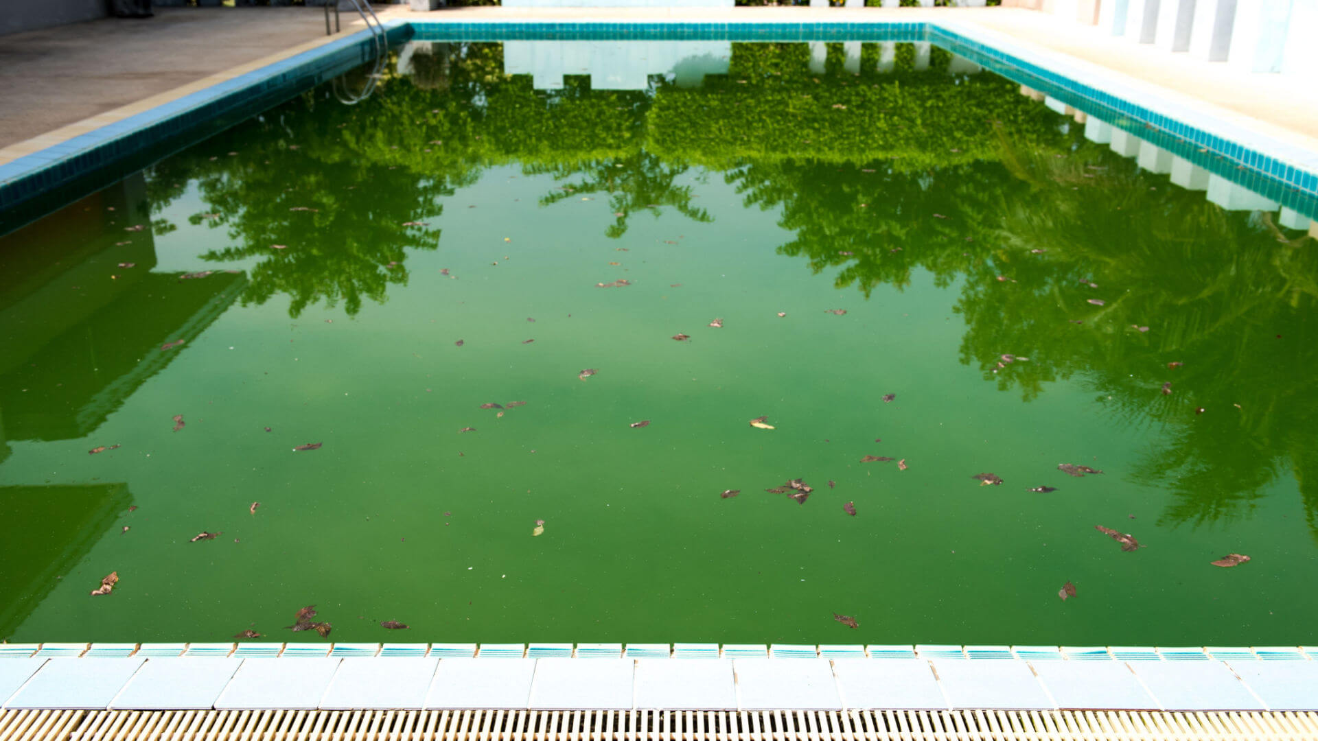 Why Your Pool Gets Dirty So Fast