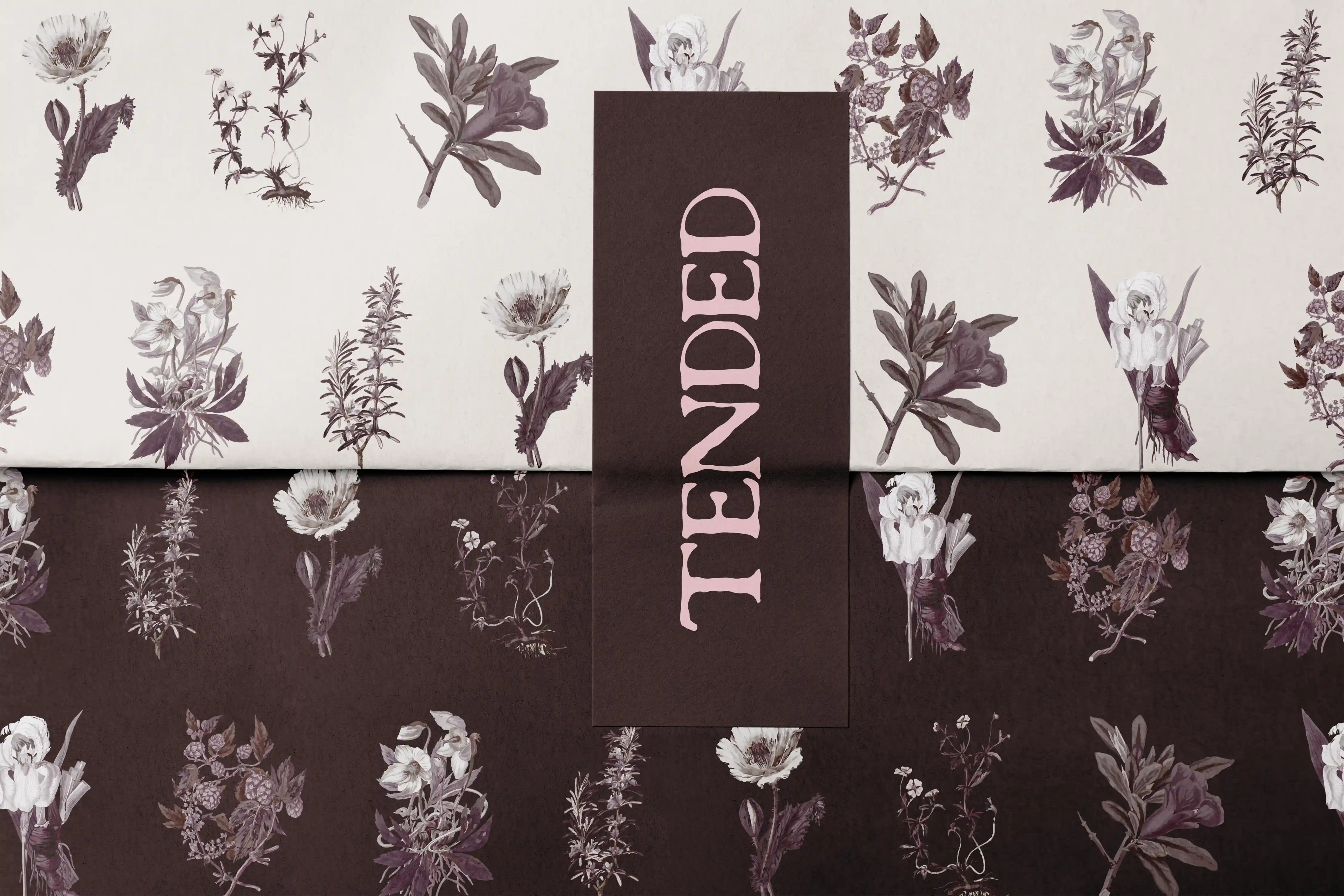 Tended brand identity — botanical illustration tissue paper variations in light and dark with wordmark sticker