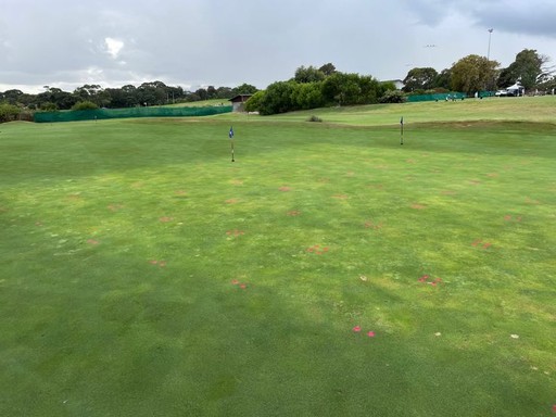 Biostimulant trial at Bonnie Doon Golf Club