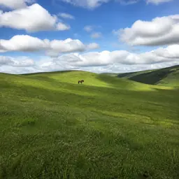 Avatar de paysage de prairie pour Lucia Bianchi, évaluatrice pour APOB