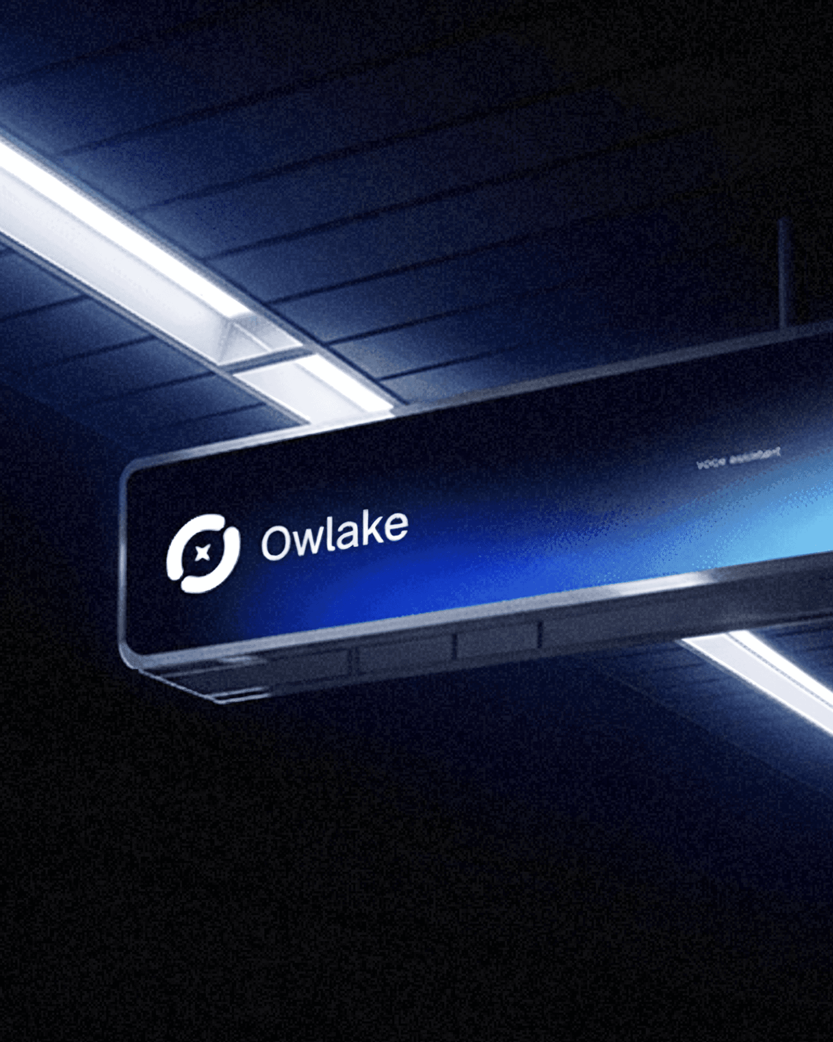 Owlake Digital Solutions - Social Media Designs