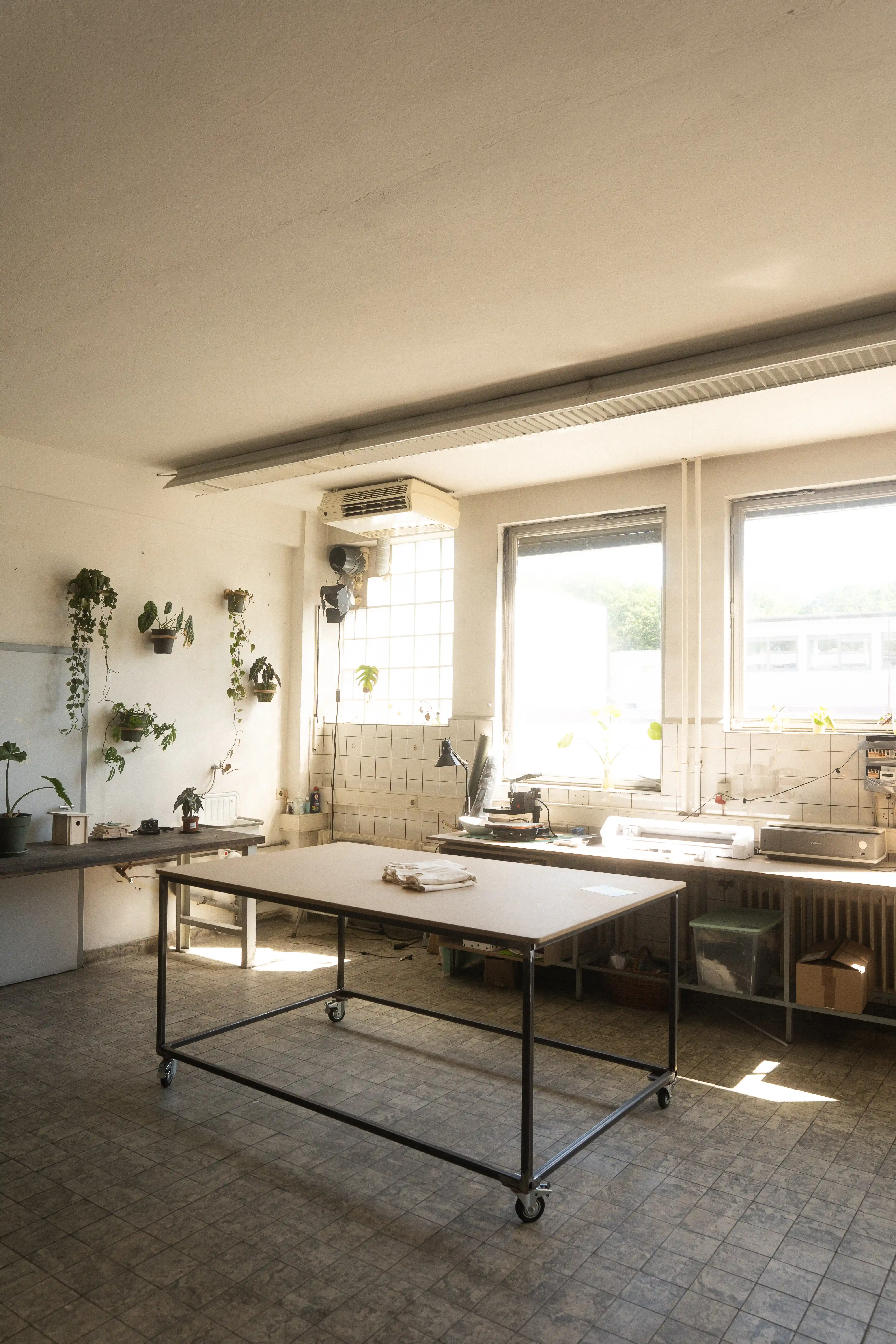 Aufnahme vom Arbeitsplatz geräumige Werkbank und Pflanzen