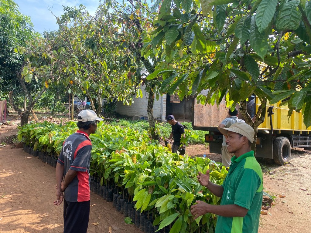 Two individuals work in a green area, surrounded by potted plants and trees under bright sunlight.