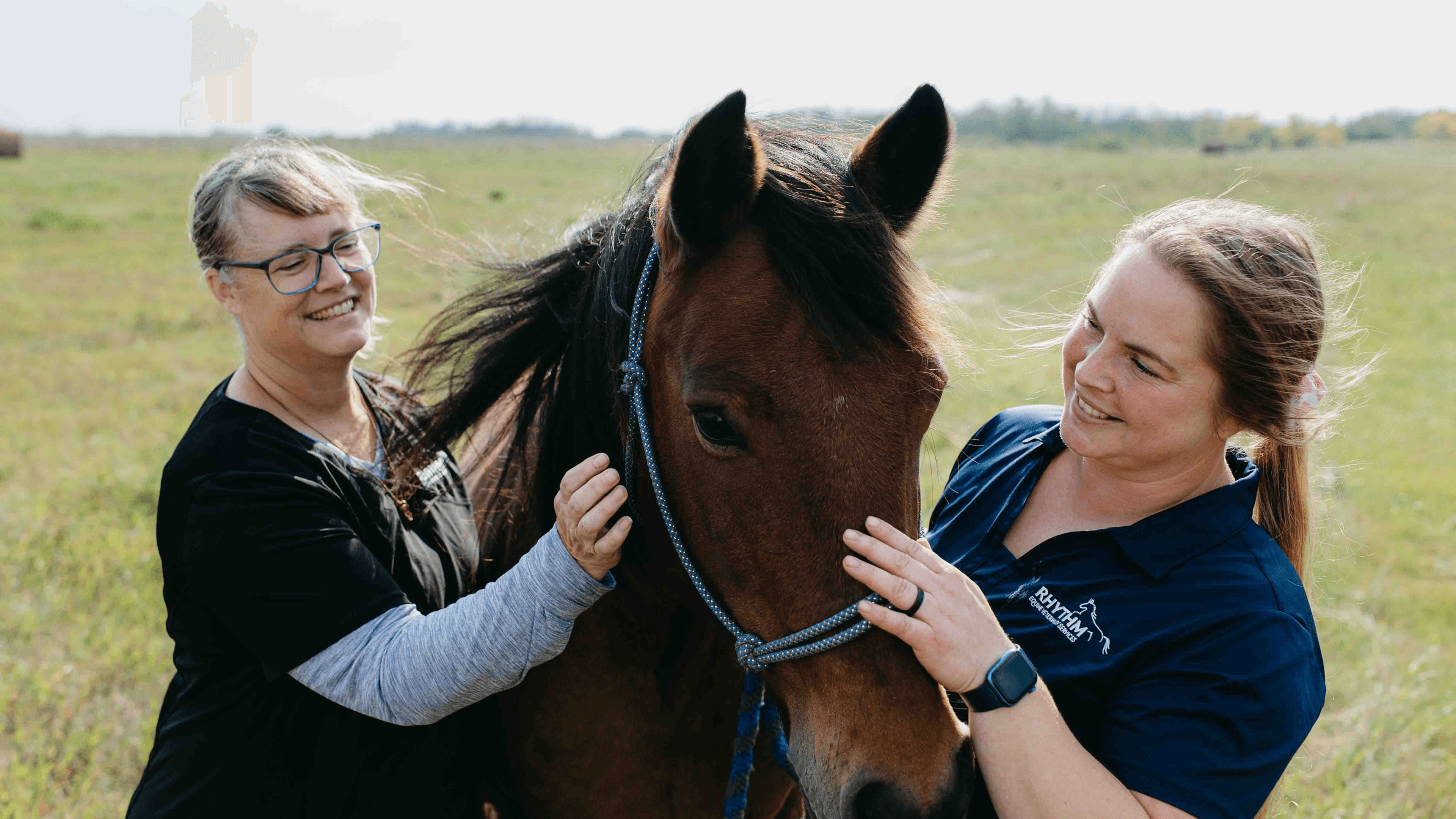 City Park Vet Brand Design with a background of a Vet hugging a puppy