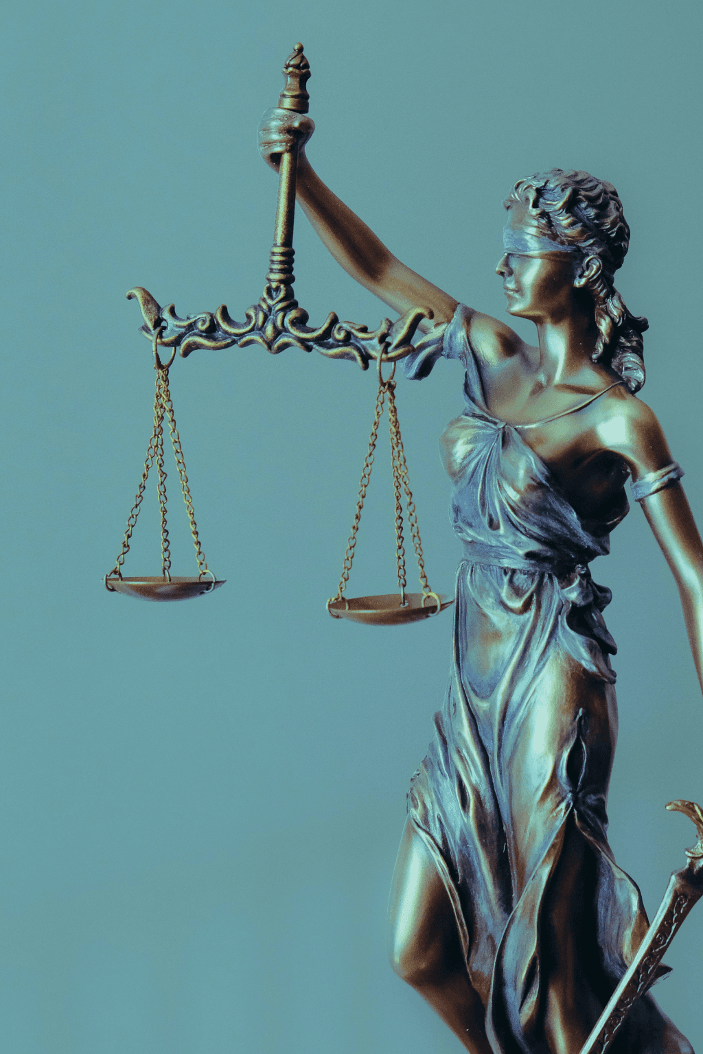 Close-up of a tree stump showing growth rings and a textured brown wood surface.