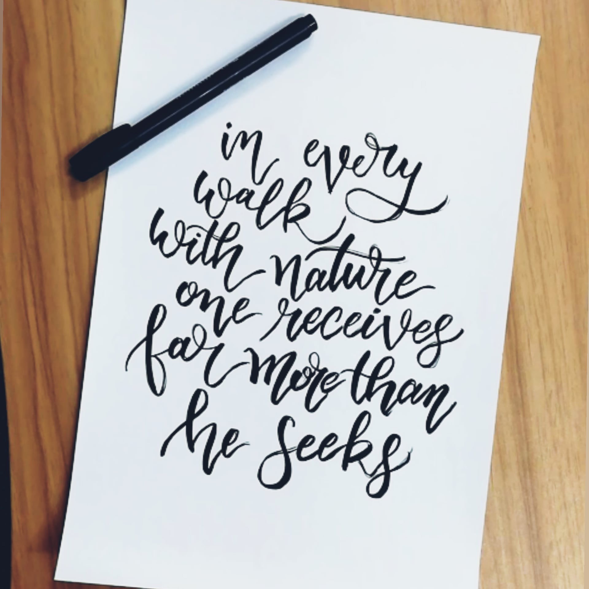 picture of plants and greenery