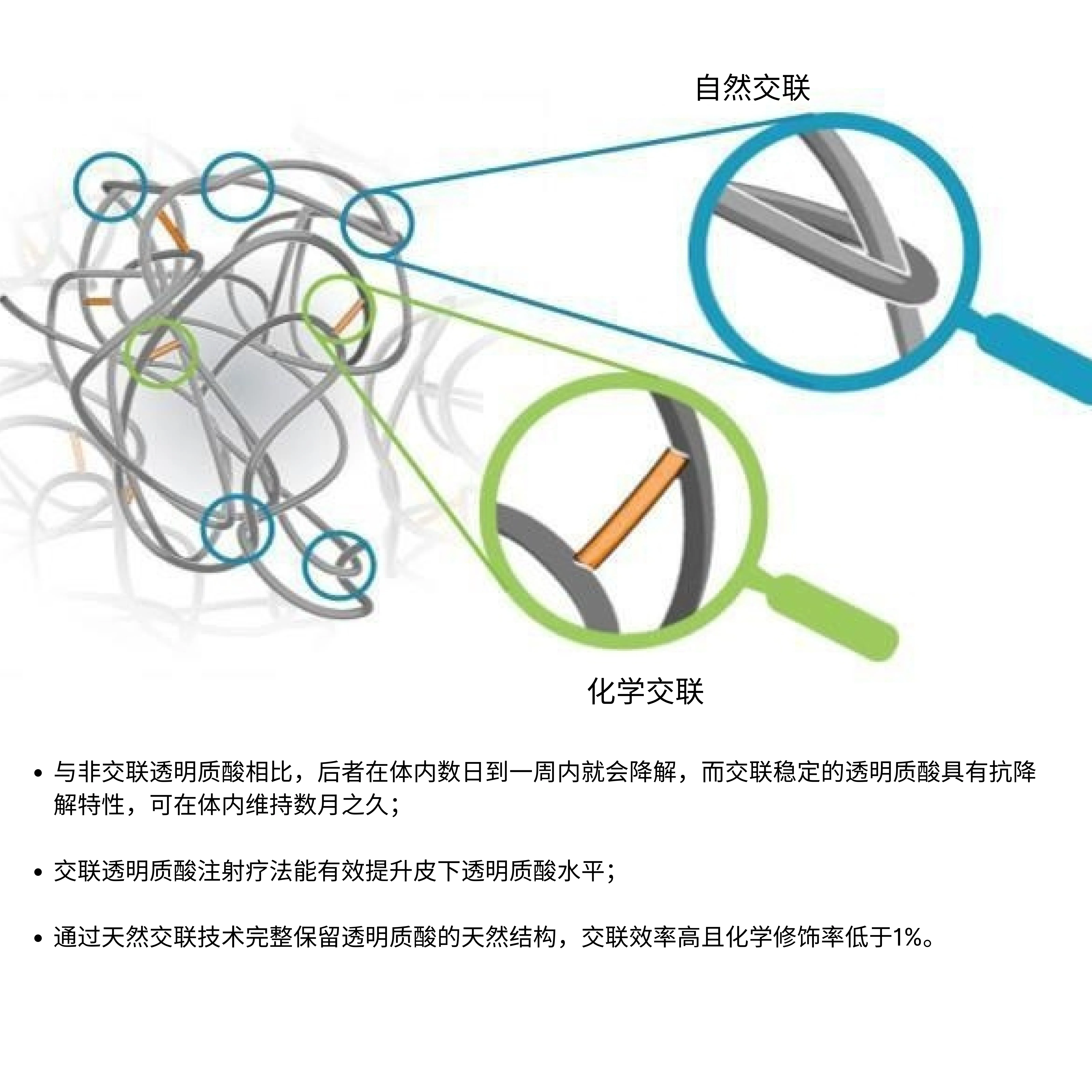 交联透明质酸钠凝胶制造商