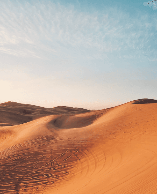 Close shot of earings on a woman