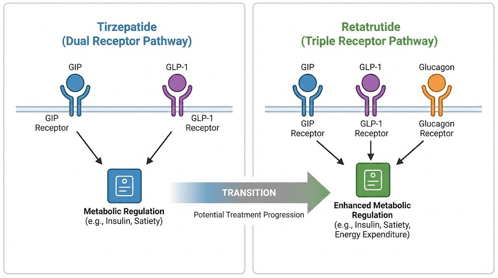 Tirzepatide to retatrutide transition showing dual to triple receptor activation
